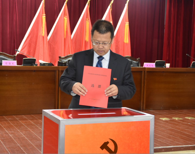 苟书记投票.png