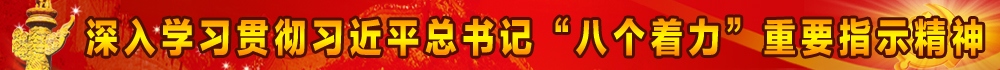深入学习贯彻习近平总书记“八个着力”重要指示精神