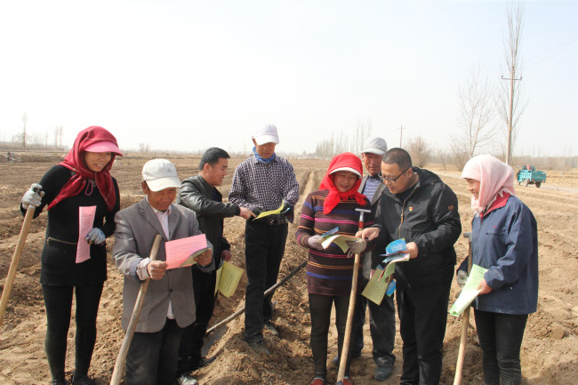 图为高台县宣化镇村级纪检监察员深入田间地头为群众发放宣传彩页并现场讲解相关知识。_副本.jpg