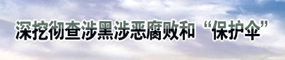 深挖彻查涉黑涉恶腐败和“保护伞”