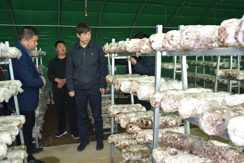 DSC_2209_副本.jpg