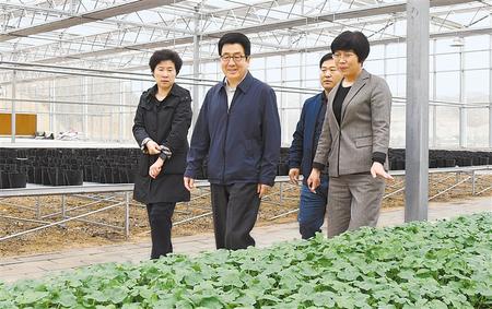 林铎：壮大产业强根基 精准施策补短板 确保高质量打赢打好脱贫攻坚战