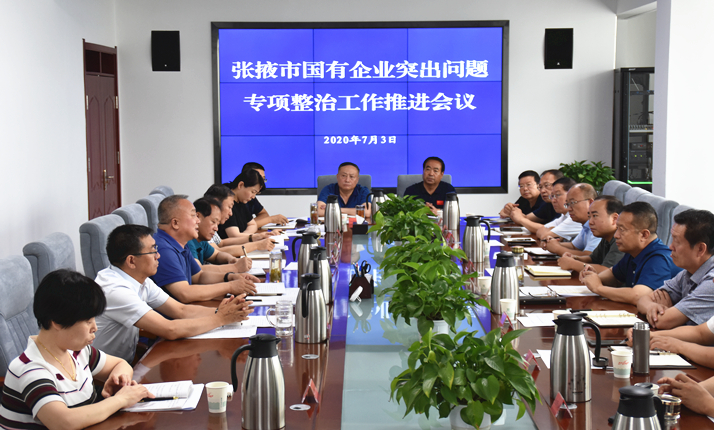 张掖市国有企业突出问题专项整治工作推进会议召开