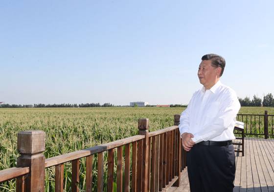 领导干部要胸怀两个大局——领悟习近平新时代中国特色社会主义思想中蕴含的大局观