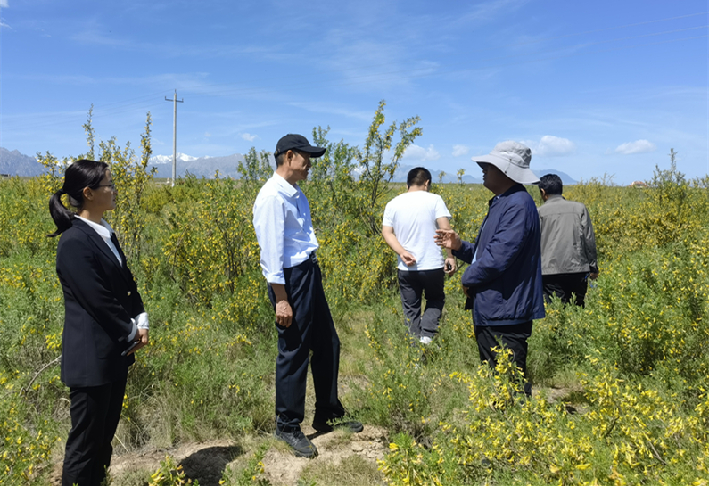 督查民乐县荒漠化治理情况_副本.jpg