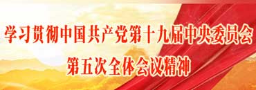 学习贯彻十九届五中全会精神