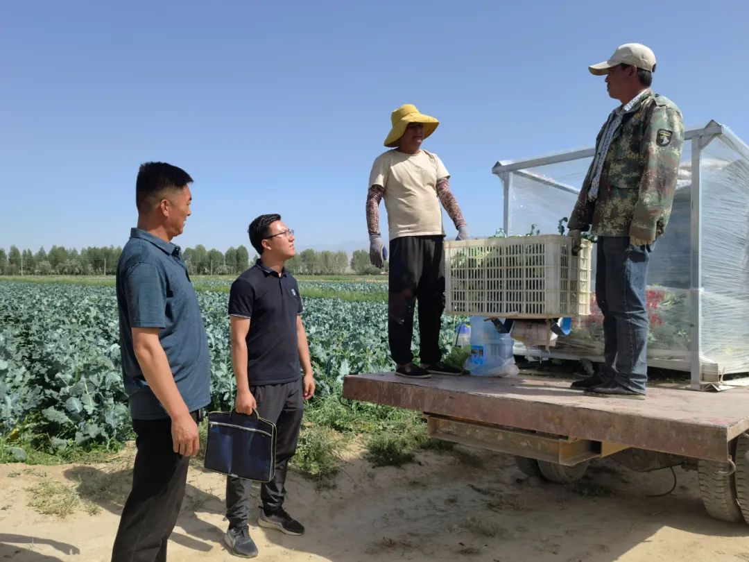 山丹县纪委监委工作人员赴陈户镇蔬菜种植基地现场了解惠农政策落实情况。.jpg