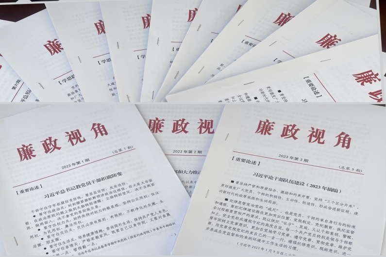 市纪委监委派驻市卫健委纪检监察组编发《廉政视角》.jpg