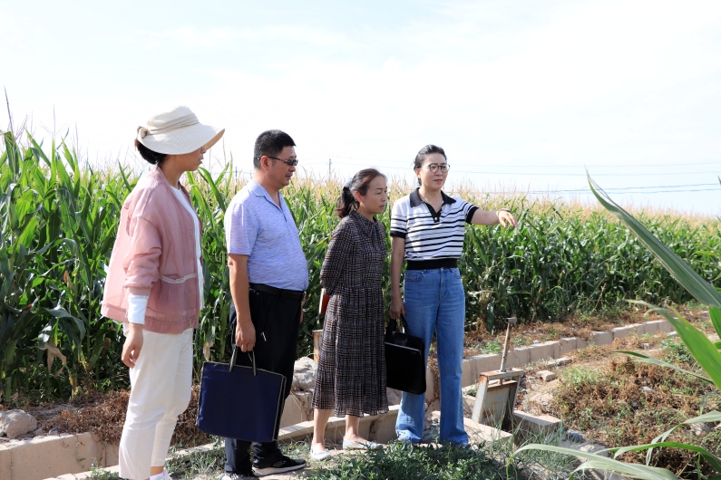 近期，派驻市农业农村局纪检监察组会同驻在单位工作人员深入村社地头，实地查看耕地保护情况。.jpg