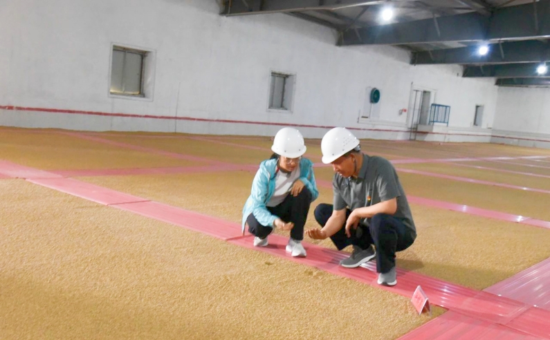 山丹县纪委监委工作人员在恒达粮油公司查看粮食收储情况。.jpg