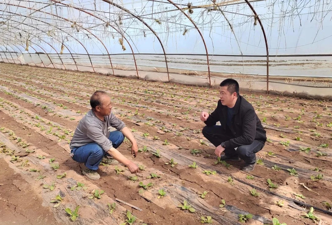 甘州区纪委监委工作人员在靖安乡新沟村蔬菜大棚实地了解秧苗栽植、农资供应、政策落实等情况，护航春耕生产。.jpg