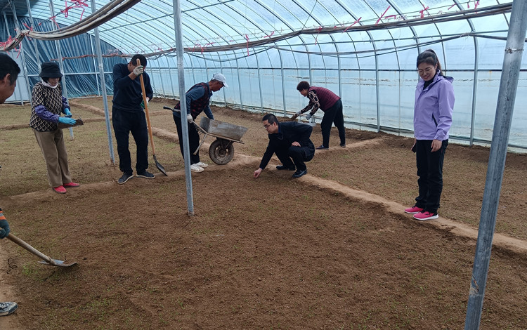 天水市甘谷县纪委监委深入田间地头、种植基地、育苗大棚，下沉式监督天水麻辣烫灵魂——甘谷辣椒覆膜育苗情况，为“麻辣滚烫”保驾护航。_副本.jpg