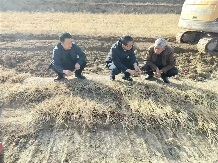 近日，定西市通渭县鸡川镇纪委干部深入田间地头监督检查中药材黄芪种植情况。_副本.jpg