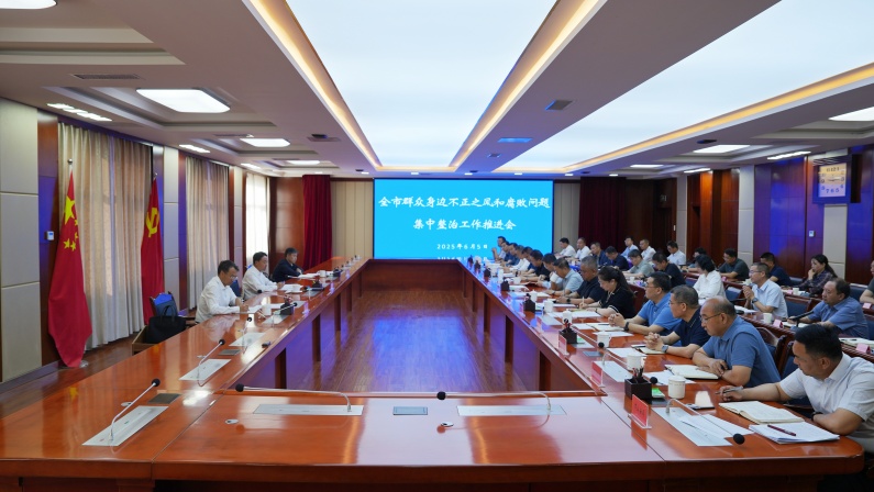 全市群众身边不正之风和腐败问题集中整治工作推进会召开