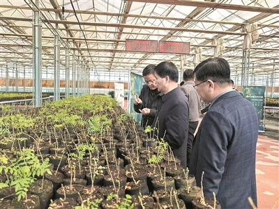 1762213692285398.jpg 5.jpg