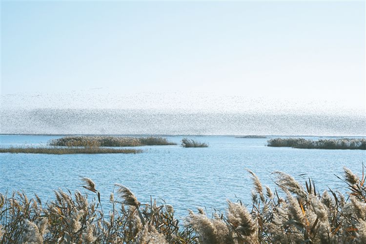 1764544006990739.jpg 25.jpg