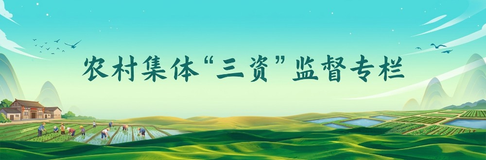 农村集体“三资”监督专栏